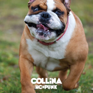 Collina "HC=Punk" CD
